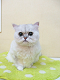 DSCF9511[1]_thumb.png